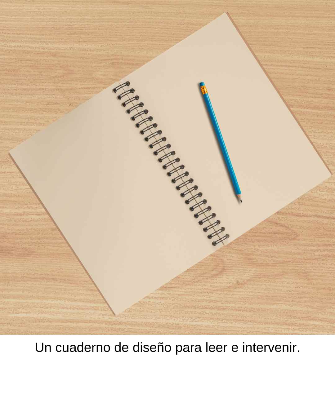 Caperucita Loba - Cuaderno de diseño - Incluye Ebook (Manual sin instrucciones para poner límites)