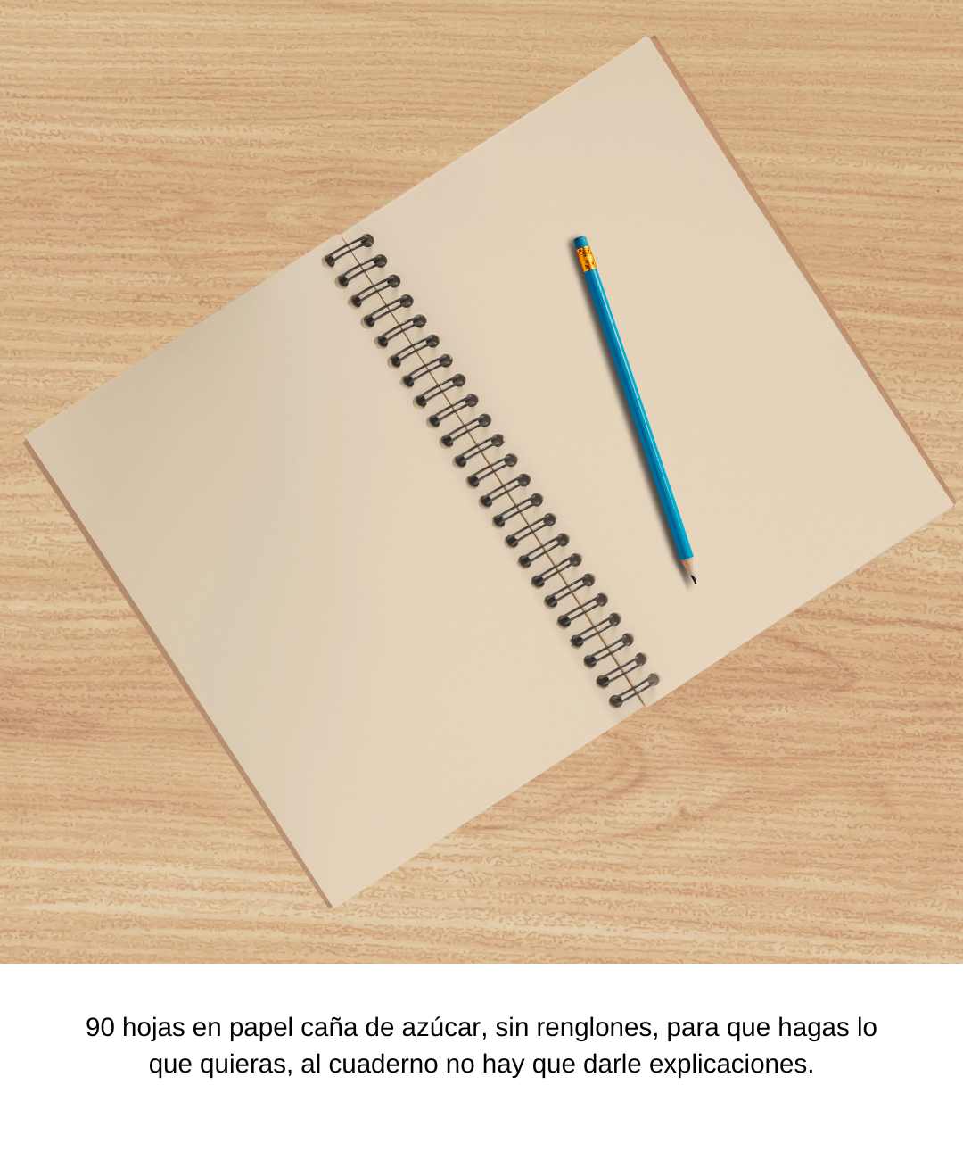 Ser el placer de ser lo que se es - Cuaderno de diseño