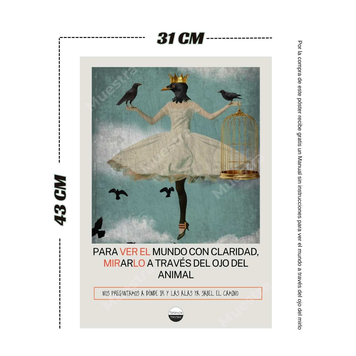 Póster Mirar a través del Mirlo