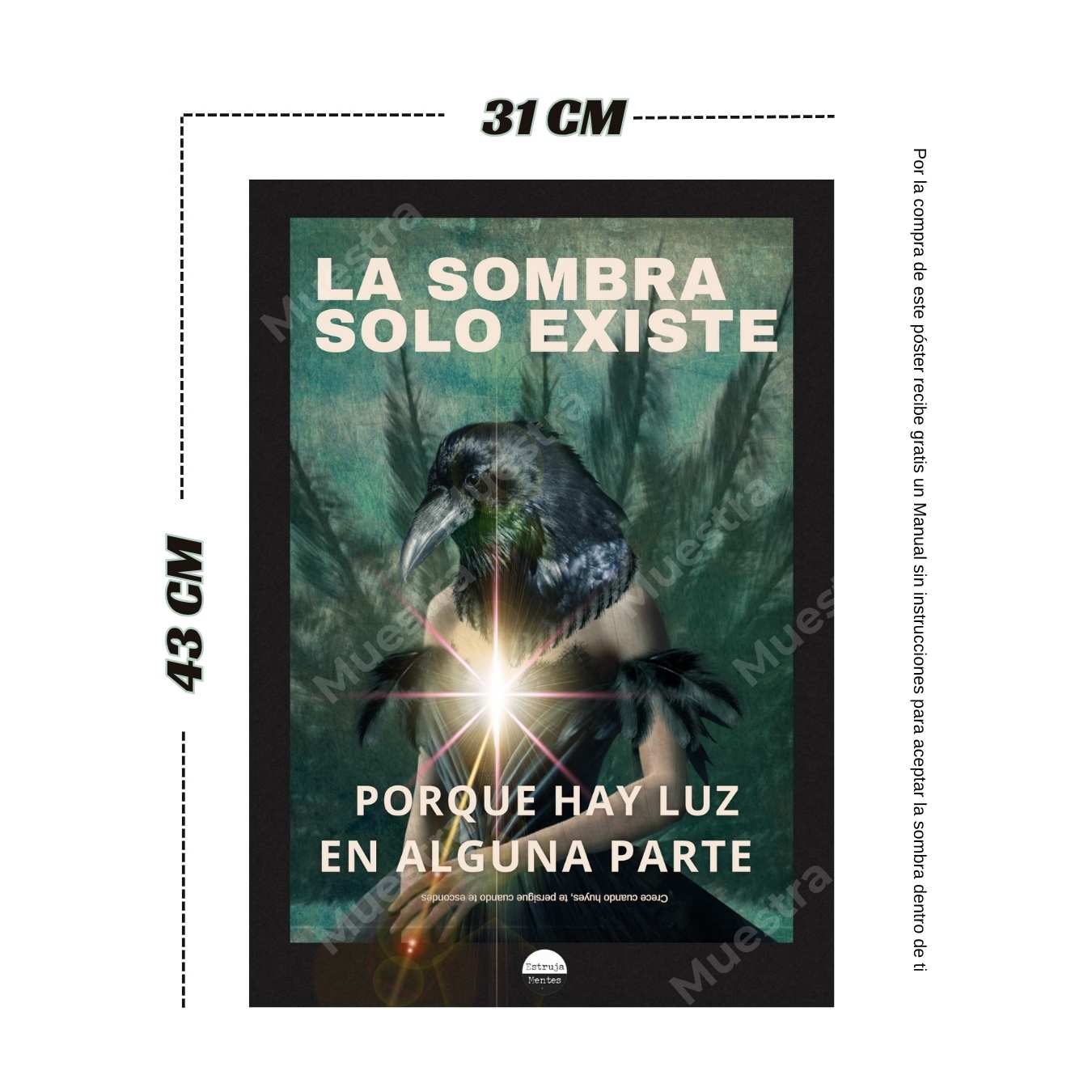 Póster La luz y la sombra