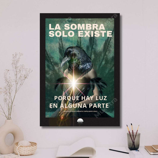 Póster La luz y la sombra